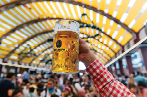 Topdeck traveler holding up a stein glass of German lager during an Oktoberfest celebration.