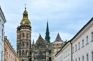 A rooftop views of the gothic buildings in Ljubljana.