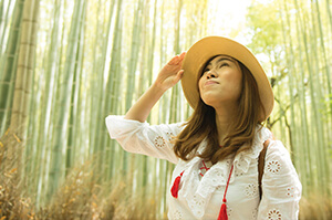 Topdeck Traveler in awe of the size of the Bamboo inside the Arashiyama Bamboo forest in Kyoto.