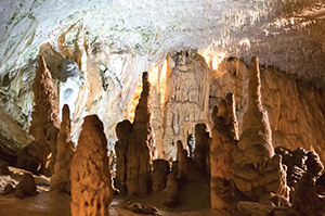 Striking Stalagmites feature prominently in within the unique subterranean passages of Postojna Cave.