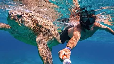 Person wearing snorkel takes an underwater selfie with a large turtle.