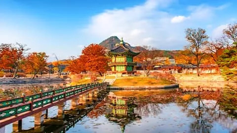 Gyeongbokgung Palace in Seoul surrounded by trees with orange leaves during autumn