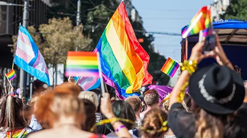 Rainbow flags held above a crowd at a pride parade.