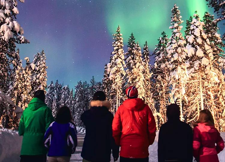 A group of Topdeck travellers gaze up at the beautiful Northern Lights amidst the snow covered forest of Lapland.