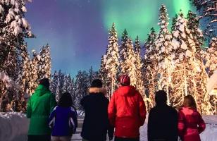 A group of Topdeck travellers gaze up at the beautiful Northern Lights amidst the snow covered forest of Lapland.